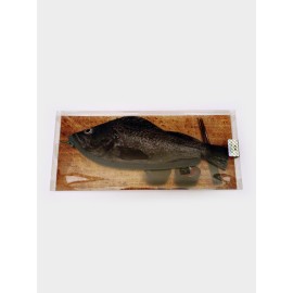 Rock Fish Pencil Case