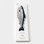 Fish bookmark